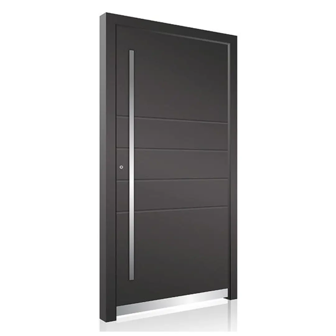 Model Pintu Aluminum dengan Handle Silver Panjang