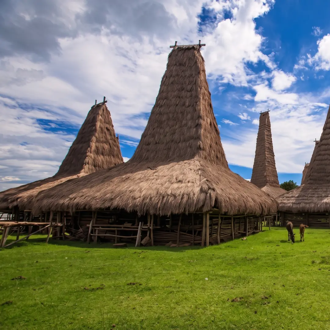 rumah adat ntt